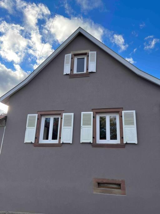 Le Gite Des Cigogneaux Schwenheim 外观 照片